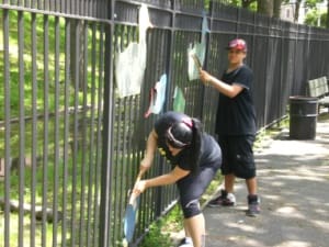 fence painting p4p
